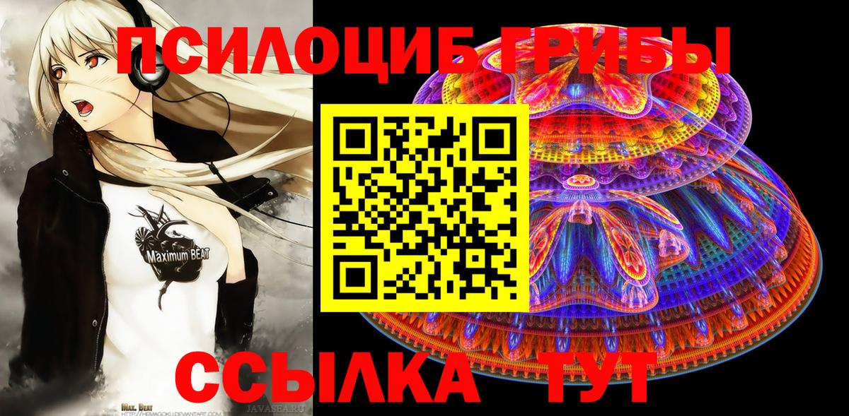 Псилоцибиновые грибы GOLDEN TEACHER Ярцево