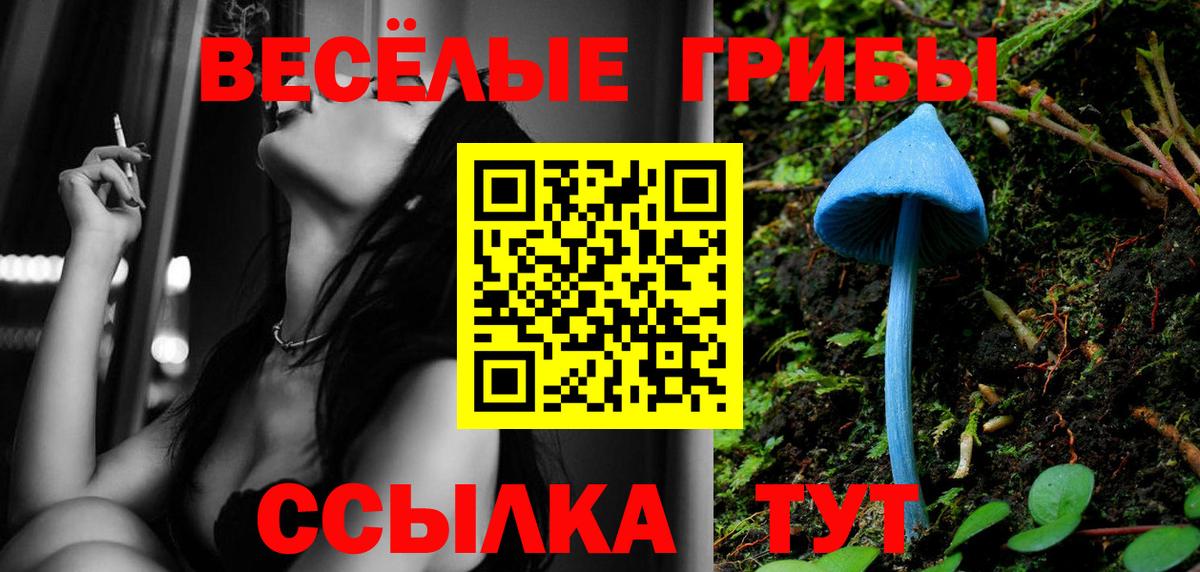 Ярцево  Галлюциногенные грибы Psilocybe  Вход с VPN 
